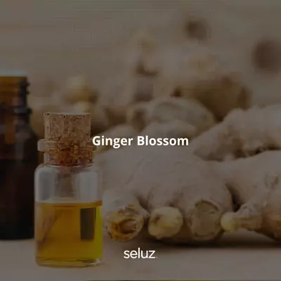 Hid beruvchi modda Ginger Blossom (Zanjabil gullari).